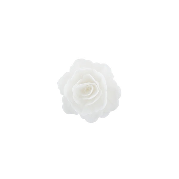 Róża chińska średnia biała 18szt.