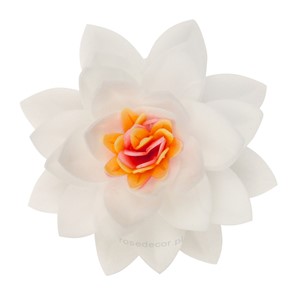 Kwiat Lotosu waflowy biały 7cm / 15szt