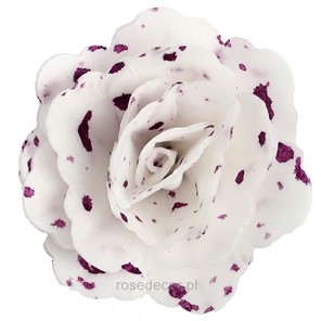 Róża chińska waflowa średnia nakrapiana fioletowa (purpurowa)  18szt