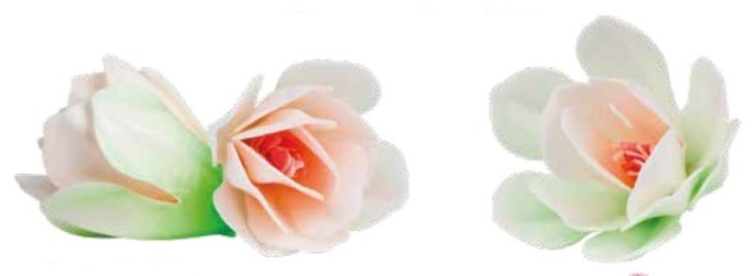 Magnolie waflowe białe  7cm - 6szt.