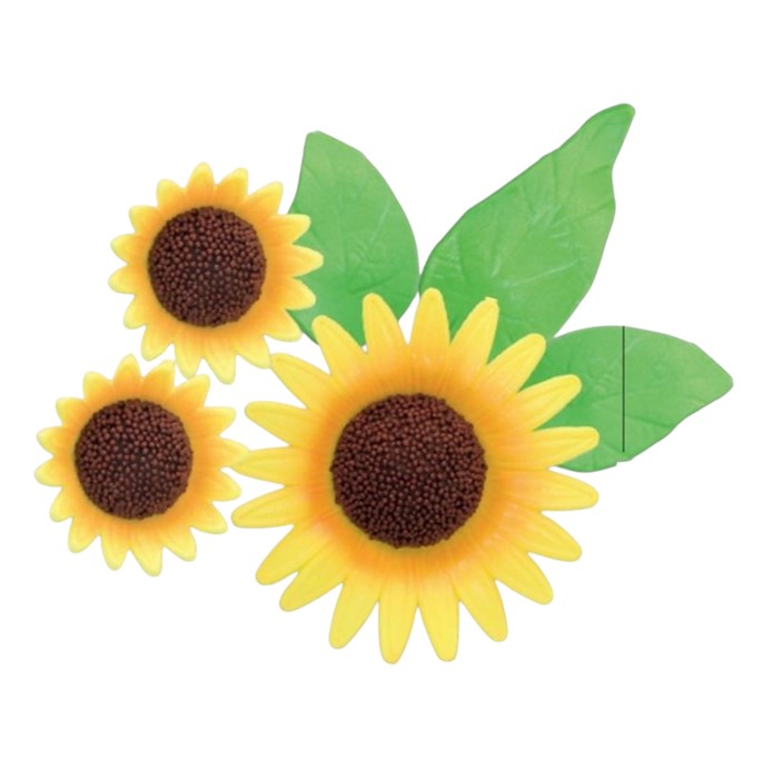 Słoneczniki cukrowe - bukiet