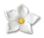 Kwiatki cukrowe biały Jaśmin - 20szt