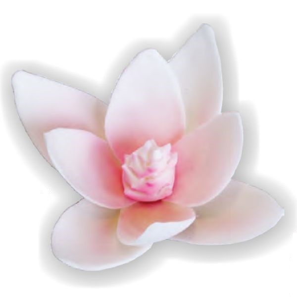 Cukrowa MAGNOLIA RÓŻOWA 9cm / 1szt.