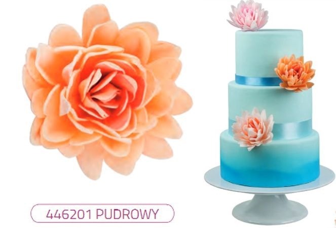 Astry waflowe Białe  5,5cm / 18szt.