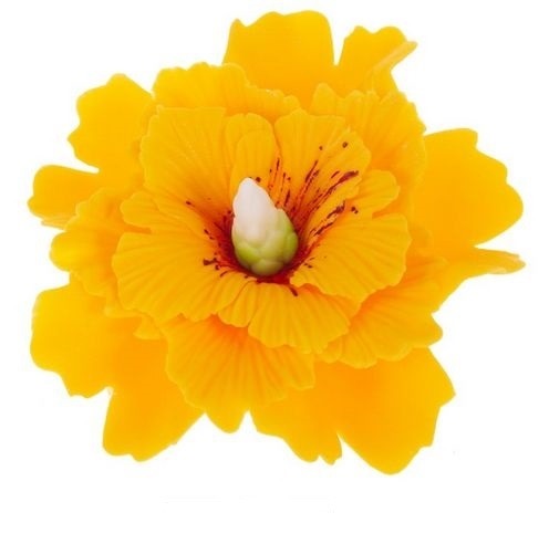 Hibiskusy cukrowe ŻÓŁTE 4szt.