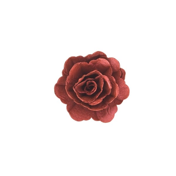 Róża chińska średnia perłowa burgundowa 18szt.