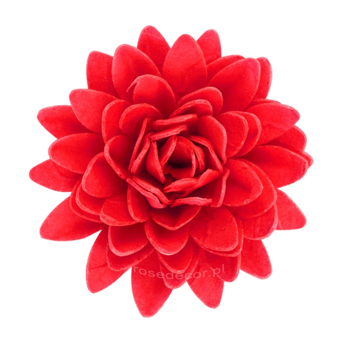 Astry waflowe mix1 5,5cm / 18szt