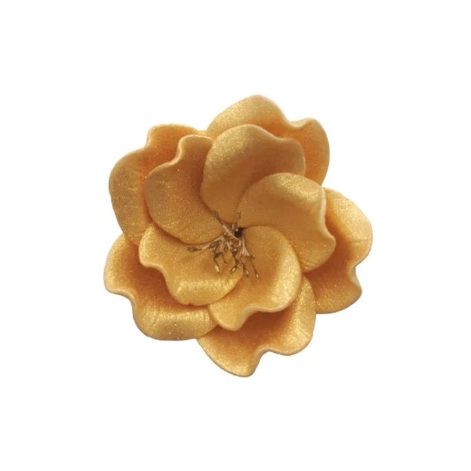 Eustoma cukrowa mała ZŁOTA 3szt.