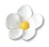 Kwiatki cukrowe białe Jabłoń - 25szt