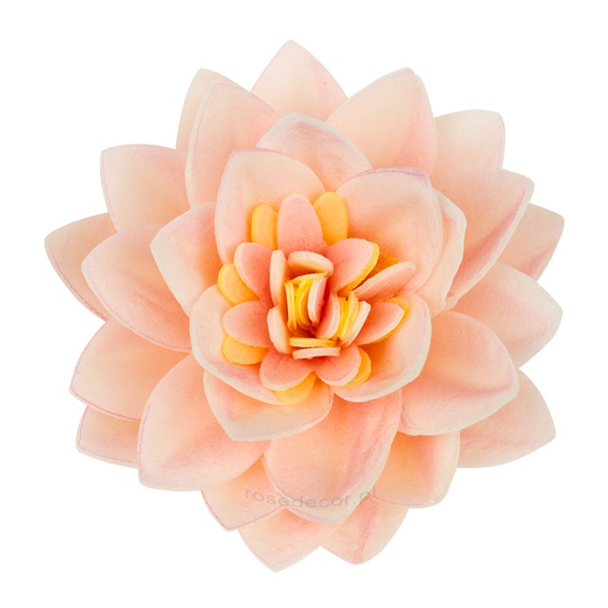 Kwiat Lotosu waflowy mix 7cm / 15szt