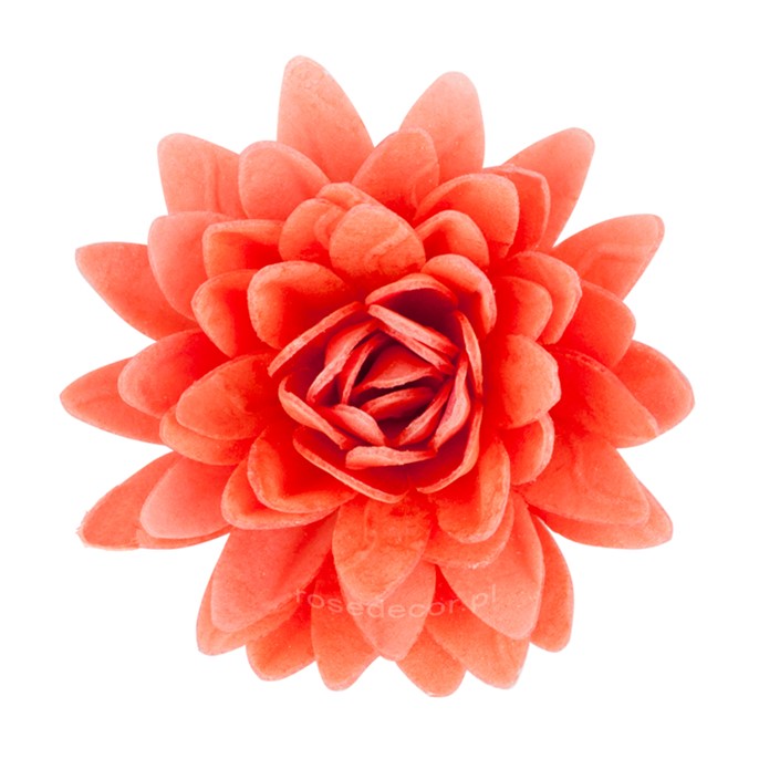 Astry waflowe mix1 5,5cm / 18szt