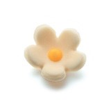 Niezapominajka cukrowa ECRU 100szt.