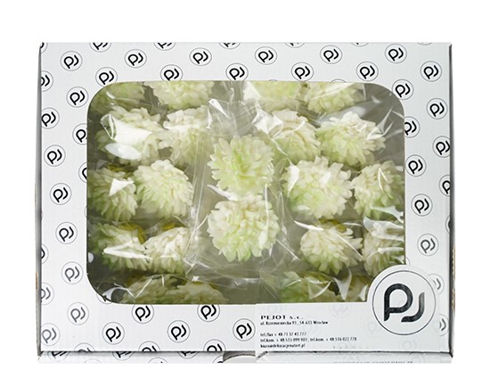 Goździki cukrowe PISTACJOWE 22szt.