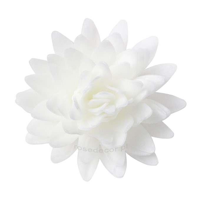 Astry waflowe mix1 5,5cm / 18szt