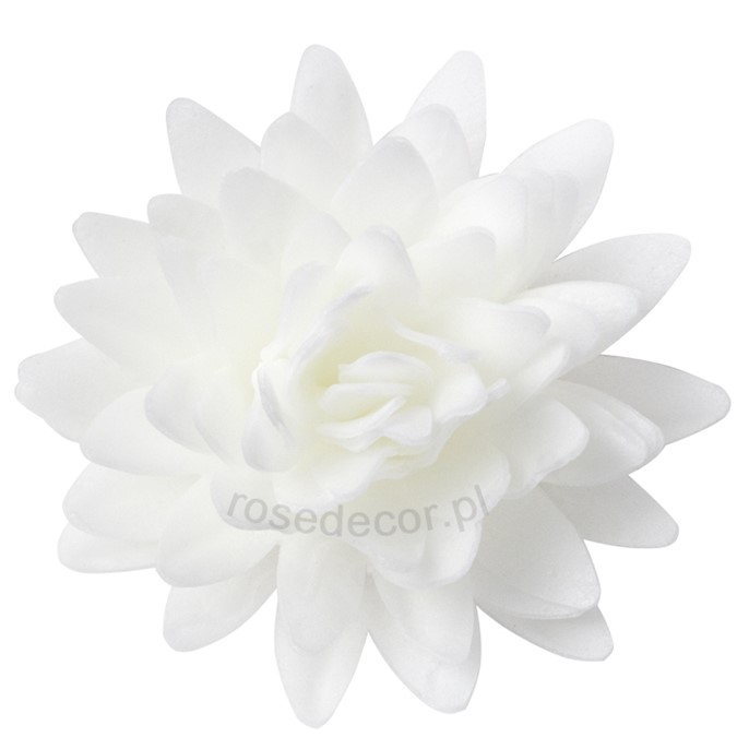 Astry waflowe Białe  5,5cm / 18szt.