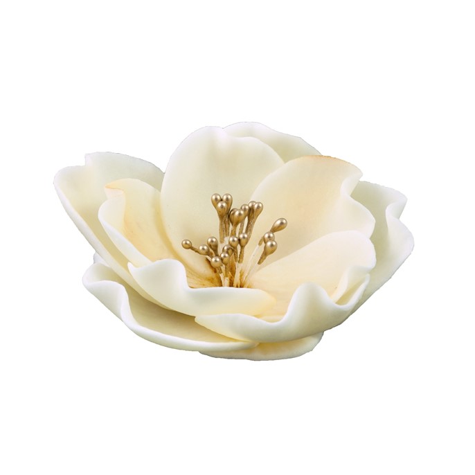 Eustoma cukrowa mała ECRU 3szt.