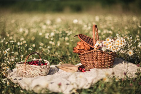 Słodki piknik w stylu Fabryki Cukiernika!