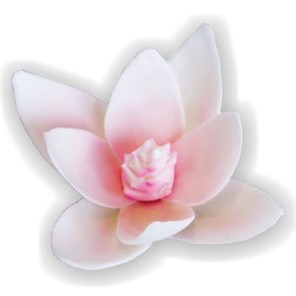 Cukrowa MAGNOLIA RÓŻOWA 9cm / 1szt.