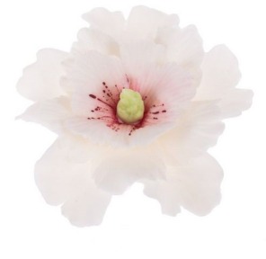 Hibiskusy cukrowe BIAŁE 4szt.