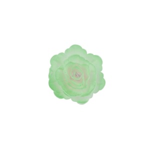 Róża chińska średnia cieniowana zielona 18szt.