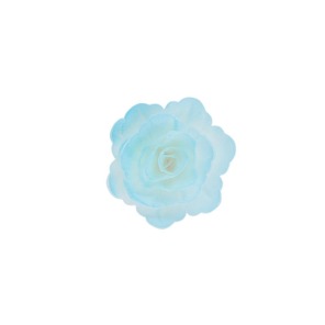 Róża chińska średnia cieniowana niebieska 18szt.