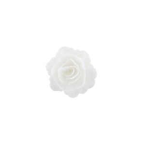 Róża chińska średnia biała 18szt.