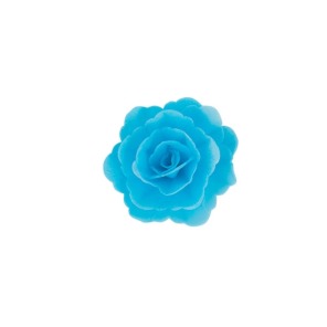Róża chińska średnia niebieska 18szt.
