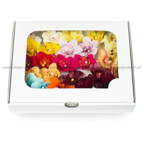 Storczyki cukrowe małe ECRU 20szt.