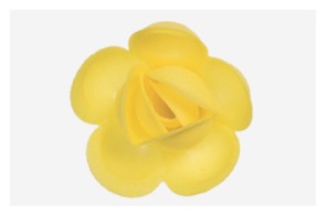 Róża klasyczna duża żółta 40szt.