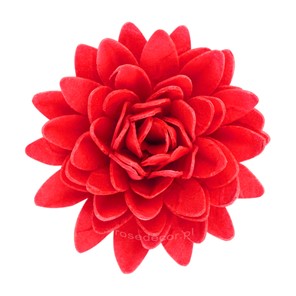 Astry waflowe mix1 5,5cm / 18szt