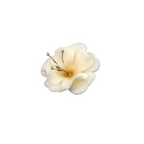 Magnolia cukrowa mała ECRU 10szt.
