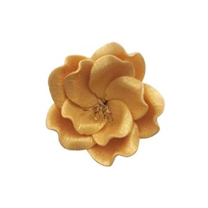 Eustoma cukrowa mała ZŁOTA 3szt.