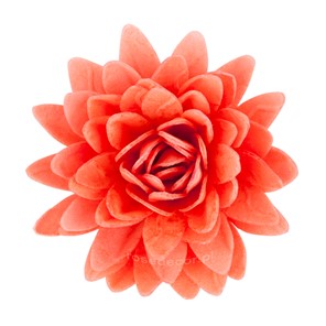 Astry waflowe mix1 5,5cm / 18szt