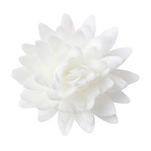 Astry waflowe mix1 5,5cm / 18szt