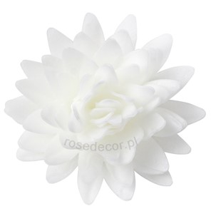 Astry waflowe Białe  5,5cm / 18szt.
