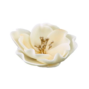 Eustoma cukrowa mała ECRU 3szt.